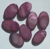 8 25x15mm Flat Oval Purple Dyed Shell Beads