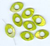 8 25x15mm Flat Cut-Out Oval Lime Shell Beads