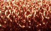 1 Meter of 6x4mm Bright Copper Chain