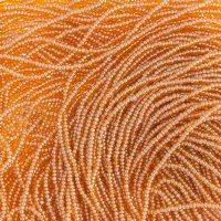 10 Grams 13/0 Charlotte Seed Beads - Transparent Sunny Yellow Lustre