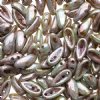 25, 4x11mm Alabaster Green Lustre Czech Glass Chilli Beads