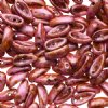 25, 4x11mm Alabaster Pink Travertine Lustre Czech Glass Chilli Beads
