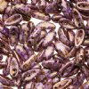 25, 4x11mm Alabaster Senegal Violet Lustre Czech Glass Chilli Beads