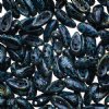 25, 4x11mm Opaque Black Travertine Czech Glass Chilli Beads