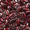25, 4x11mm Opaque Red Travertine Czech Glass Chilli Beads