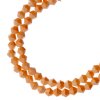 64, 6mm Faceted Opaque Cream Crystal Lane Bicone Beads