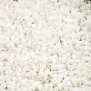 CY-1024 25 Grams of 11/0 White Pearl Lustre Cylin Seed Beads
