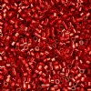 CY-1040 25 Grams of 11/0 Silverlined Red Cylin Seed Beads