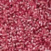 CY-1083 25 Grams of 11/0 Silverlined Dark Pink Rose Cylin Seed Beads