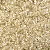 CY-1199 25 Grams of 11/0 Silver Lined Crystal Cylin Seed Beads