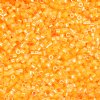 CY-1222 25 Grams of 11/0 Neon Light Orange Cylin Seed Beads