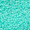 CY-1227 25 Grams of 11/0 Matte Macaron Green Turquoise Cylin Seed Beads