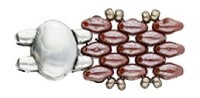 1, 13.2x10mm Kypri II Antique Silver Magnetic Clasp for Superduo Beads