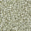 DB-0035 5.2 Grams of 11/0 Galvanized Silver Miyuki Delica Beads 