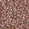 DB-0037 5.2 Grams of 11/0 Copper Lined Crystal 