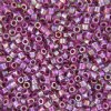 DB-0056 5.2 Grams of 11/0 Lined Rainbow Magenta Miyuki Delica Beads