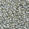 DB-0114 5.2 Grams of 11/0 Transparent Gold Lustre Silver Grey Miyuki Delica Beads 