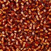 DB-0144 5.2 Grams of 11/0 Silver Lined Amber Delica Beads