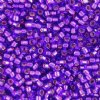 DB-0610 5.2 Grams of 11/0 Dyed Silver Lined Violet Miyuki Delica Beads