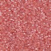DB-1481 5.2 Grams of 11/0 Transparent Salmon Lustre Delica Beads