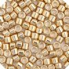 DB-0034 3.3 GRAMS of 11/0 24K Light Gold Plated Delica Beads