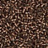 DB-0150 5.2 Grams of 11/0 Transparent Silverlined Brown Delica Beads