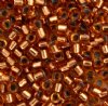 DB-0181 5.2 Grams of 11/0 Silverlined Light Bronze Delica Beads