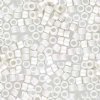 DB-0551F 3.3 Grams of 11/0 Frosted Fine Silver Plated Miyuki Delica Beads