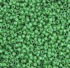 DB-0655 5.2 Grams of 11/0 Dyed Opaque Kelly Green Delica Beads