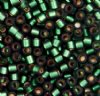 DB-0690 5.2 Grams of 11/0 Semi Matte Silver Lined Leaf Green Miyuki Delica Beads