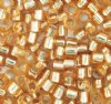 DB10-0042 5.2 Grams of 10/0 Gold Silver Lined Delica Beads