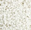DB10-0200 5.2 Grams of 10/0 Opaque White Delica Beads