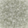 DB-1271 5.2 Grams of 11/0 Transparent Matte Grey Mist Delica Beads