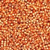 DB-1836 5.2 Grams of 11/0 Duracoat Galvanized Muscat Delica Beads