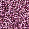 DB-1850 5.2 Grams of 11/0 Duracoat Galvanized Eggplant Delica Beads 