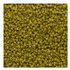 DB-2290 5.2 Grams of 11/0 Opaque Frosted Glazed Matte Pistachio Green Delica Beads