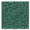 DB-2313 5.2 Grams of 11/0 Opaque Frosted Glazed Matte Rainbow Mint Green AB Delica Beads