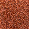 DB-2352 5.2 Grams of 11/0 Duracoat Opaque Dyed Burnt Orange Delica Beads