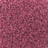 DB-2353 5.2 Grams of 11/0 Duracoat Opaque Dyed Dusty Rose Delica Beads
