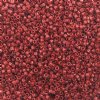 DB-2354 5.2 Grams of 11/0 Duracoat Opaque Dyed Dusty Red Delica Beads