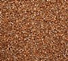 DB-2518 5.2 Grams of 11/0 Duracoat Galvanized Bright Gold Delica Beads