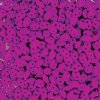 DUO-525125 - 10 Grams Neon Violet 2.5x5mm Superduo Beads