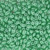 DUO525025 - 10 Grams Pastel Pearl Light Green 2.5x5mm Superduo Beads