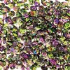 Magic Superduo Beads