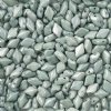 10 Grams of Opaque Chalk Green Lustre GemDuo Glass Beads