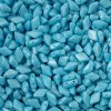 10 Grams of Opaque Turquoise Blue GemDuo Glass Beads
