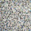 10 Grams of Transparent Crystal AB GemDuo Glass Beads