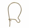 GF440 1 Pair 16mm Gold Filled Kidney Earwires