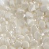 10 Grams 7.5mm White Lustre Czech Glass Ginko Leaf Beads