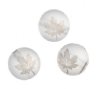 19, 10mm Round Matte Transparent Grey Beads with White AB Maple Leaf